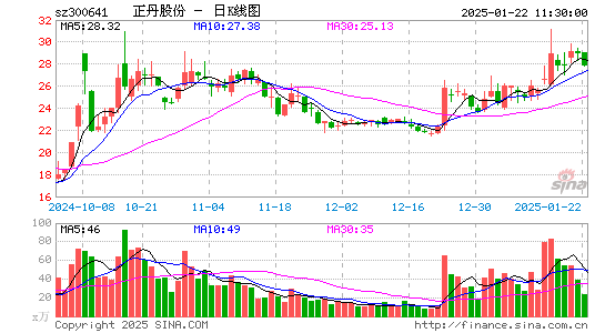 正丹股份