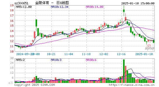 金陵体育