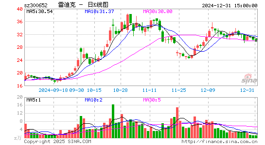 雷迪克