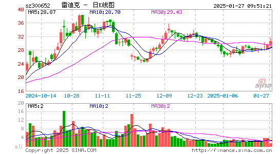 雷迪克