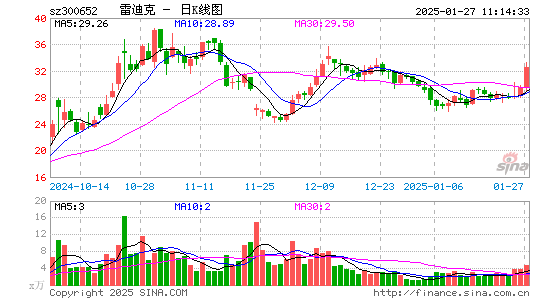 雷迪克