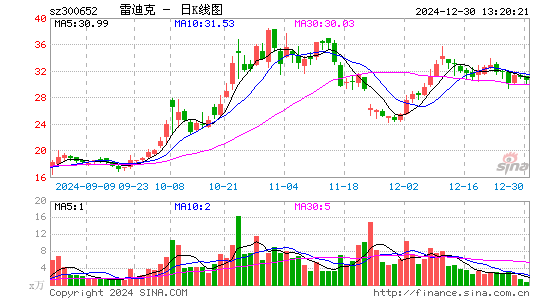 雷迪克