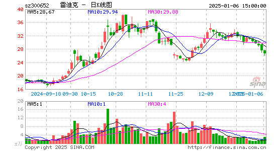 雷迪克