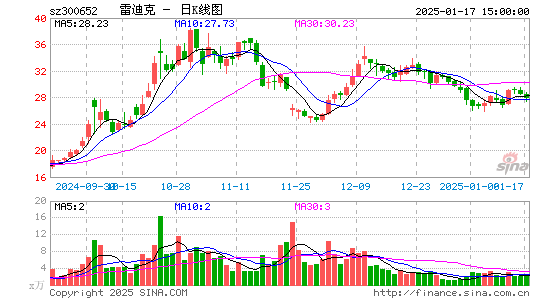 雷迪克