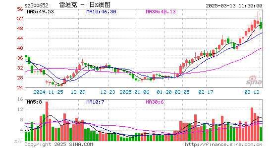 雷迪克