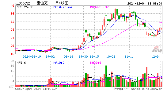 雷迪克