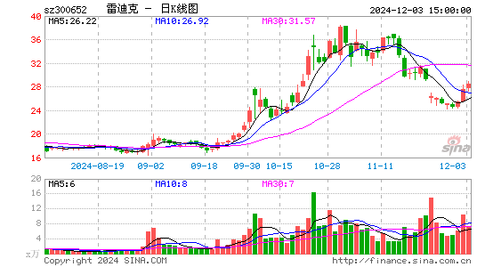 雷迪克