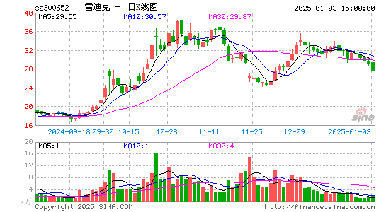 雷迪克