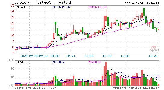 世纪天鸿