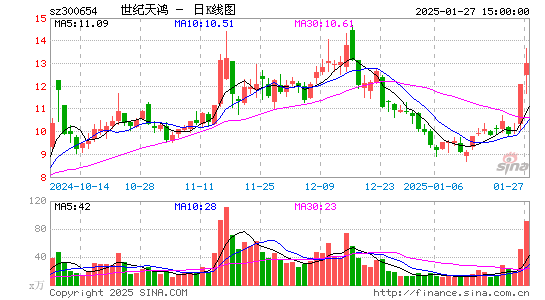 世纪天鸿