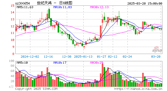 世纪天鸿