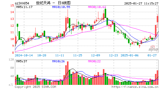 世纪天鸿