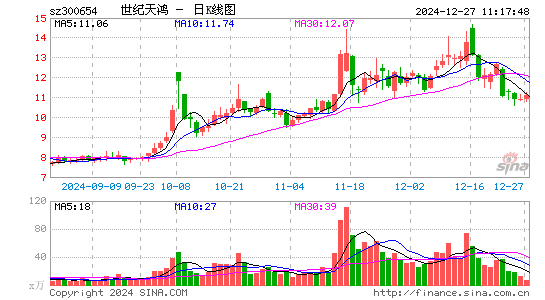 世纪天鸿