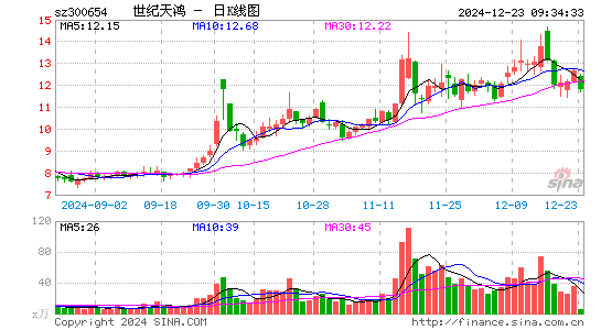 世纪天鸿