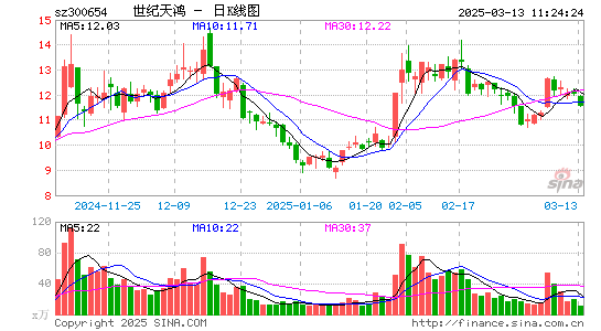 世纪天鸿