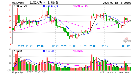 世纪天鸿