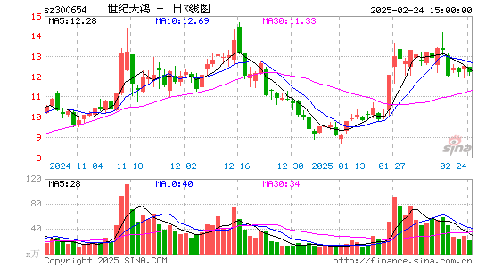 世纪天鸿