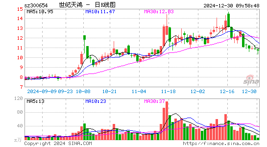 世纪天鸿