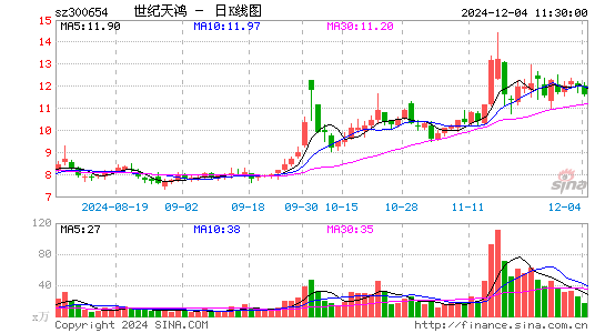 世纪天鸿