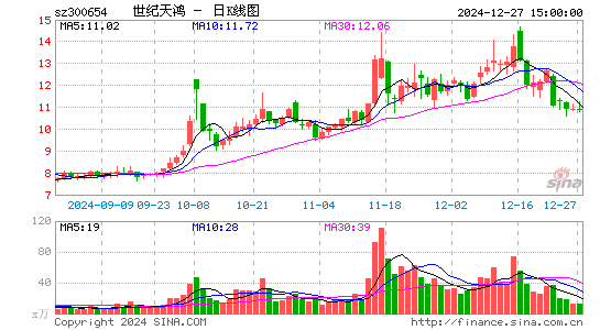 世纪天鸿