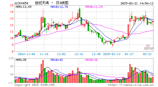 世纪天鸿