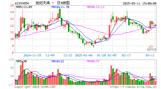 世纪天鸿