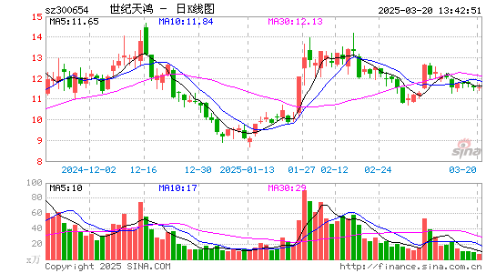 世纪天鸿