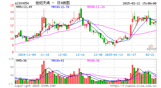 世纪天鸿