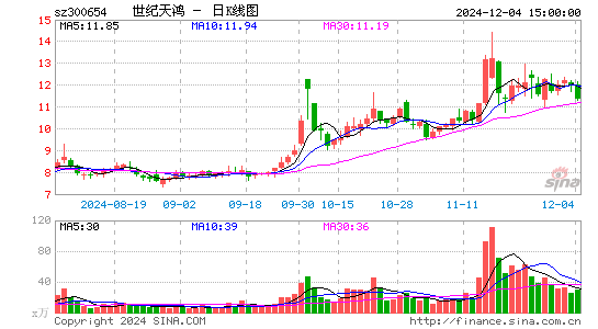 世纪天鸿