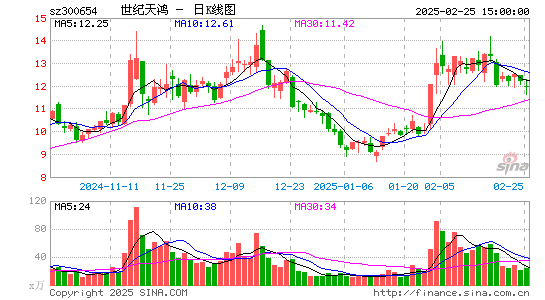 世纪天鸿