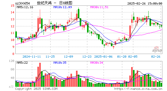 世纪天鸿