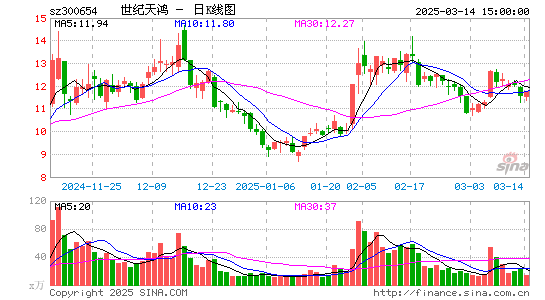 世纪天鸿