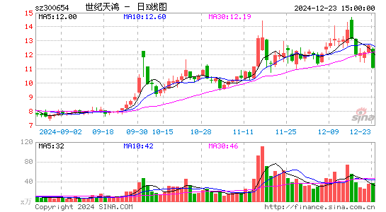 世纪天鸿