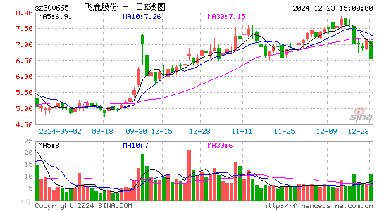 飞鹿股份