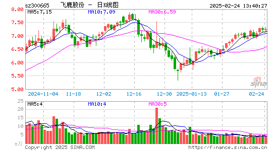 飞鹿股份