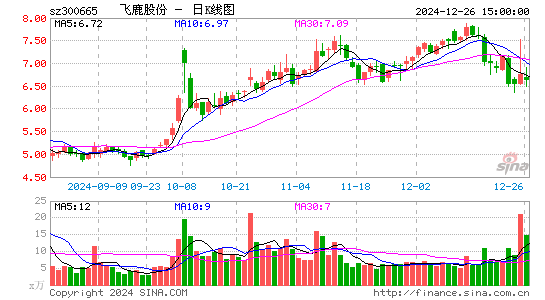 飞鹿股份