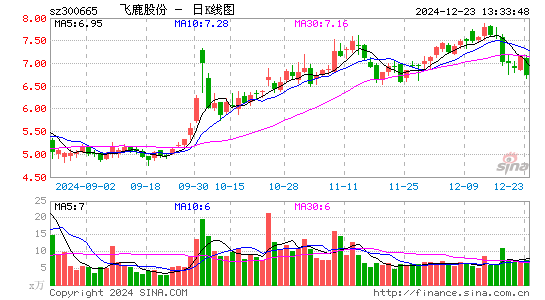 飞鹿股份