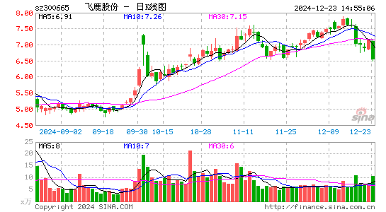 飞鹿股份