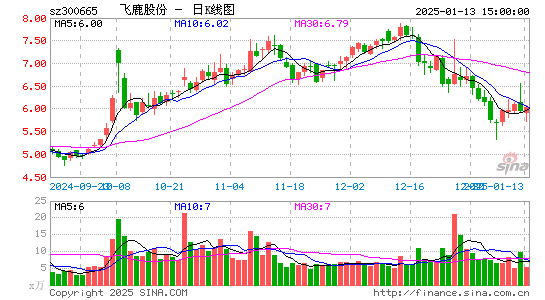 飞鹿股份