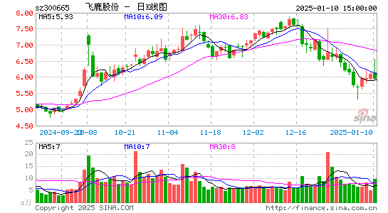 飞鹿股份