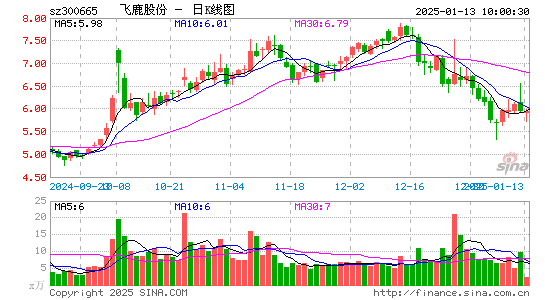 飞鹿股份