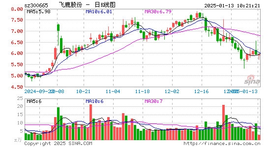 飞鹿股份