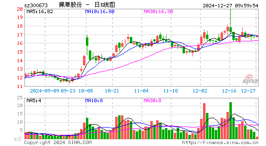 佩蒂股份