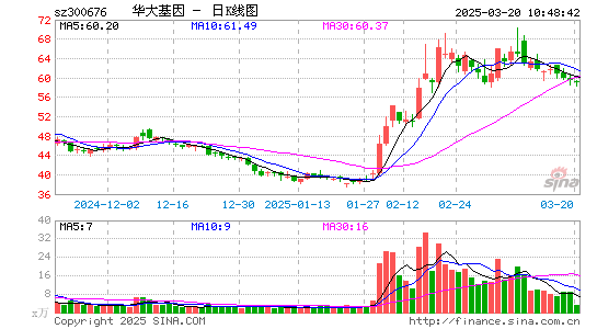 华大基因