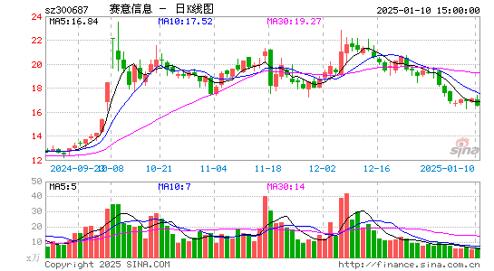 赛意信息