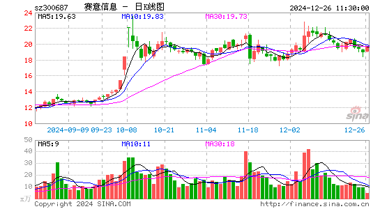 赛意信息