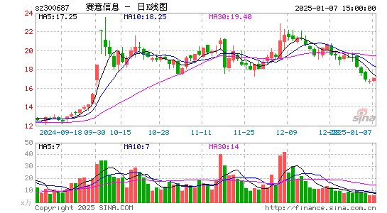 赛意信息