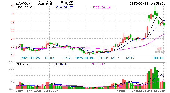 赛意信息