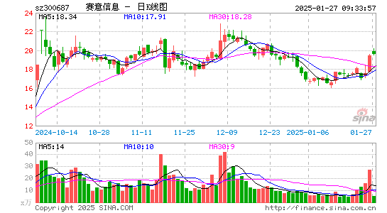 赛意信息