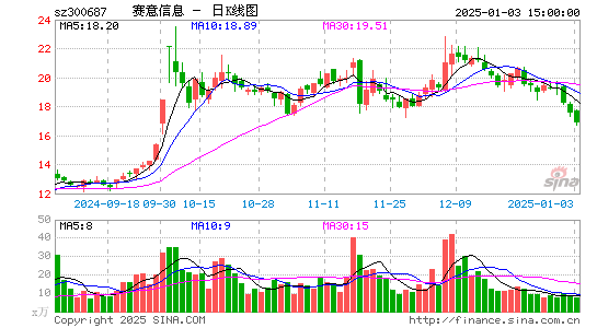 赛意信息